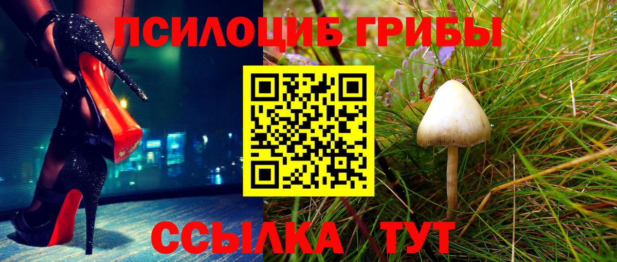 Галлюциногенные грибы мухоморы  Псилоцибиновые грибы мухоморы  Вход с VPN  Калуга 